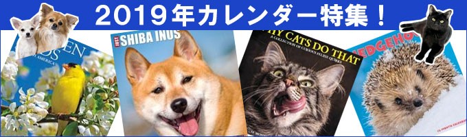 レンジャーズ/2019カレンダー(インポート)