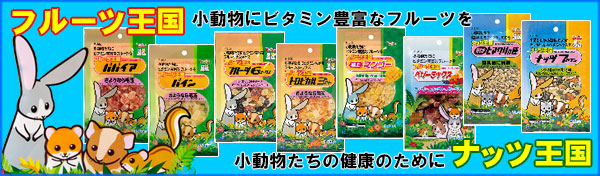 スドー「フルーツ王国」お買い得品