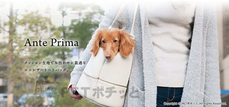 トートバッグ