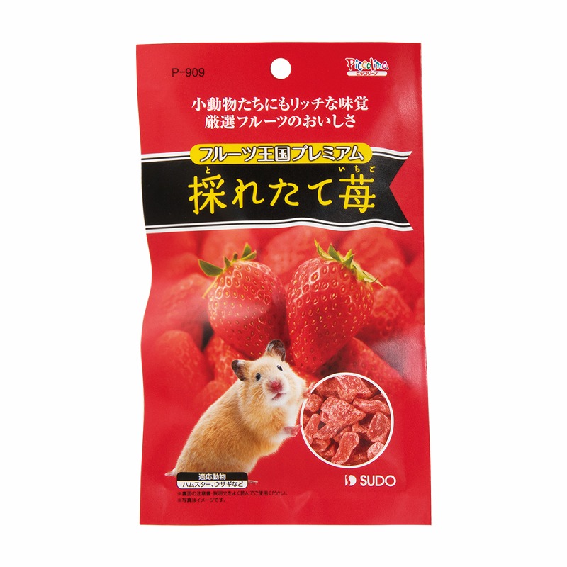 かもめーる おたより葉書 62円はがき 200枚 2019年 ② 2019年 夏のお