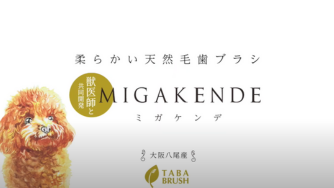 【mt designs】ペット用天然毛歯ブラシMIGAKENDE（ミガケンデ）