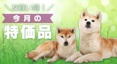 ペット用品の仕入は Petポチッと で