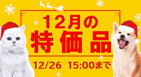 12月の特価