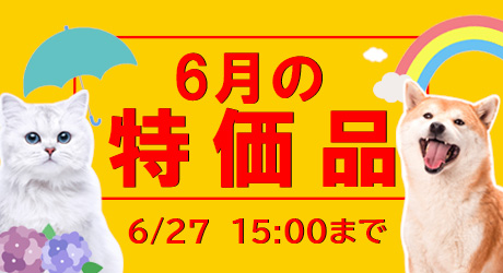 6月特売（6/28/15時まで）