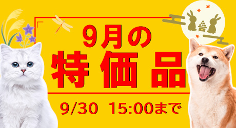 9月特売（9/30/15時まで）