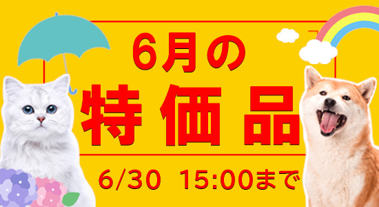 6月特売（6/30/15時まで）