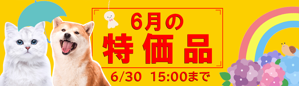 6月特売（6/30/15時まで）