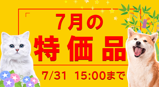7月特価