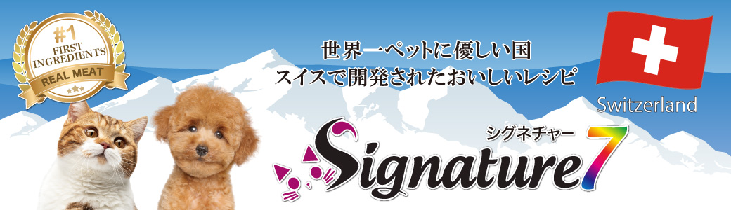 Signature7(シグネイチャー7)