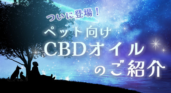 「CBD OIL」特集