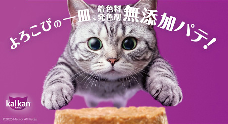 マース／カルカンパテタイプ