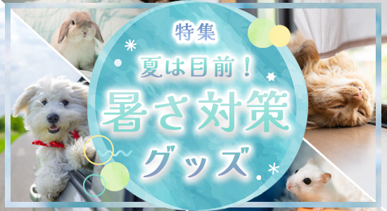 「暑さ対策グッズ」特集