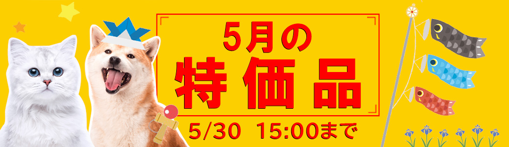 今月の特価品(2024年5月)