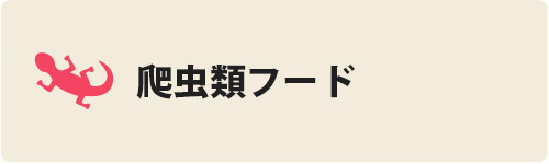 爬虫類フード