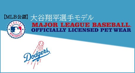 大谷翔平選手モデル