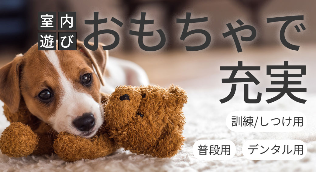 犬用おもちゃ