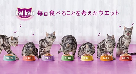 マース「カルカン」WEB広告連動