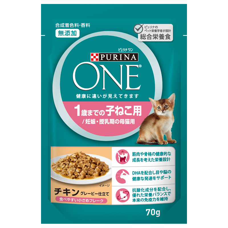 美品 ピュリナ チキン デンタライフ 51g キャット キャットフード