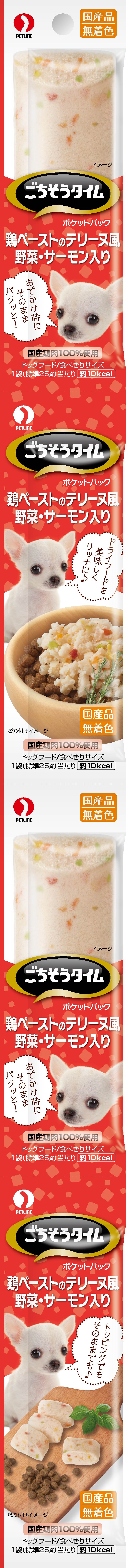 [ペットライン] ごちそうタイム ポケットパック 鶏ペーストのテリーヌ風 野菜・サーモン入り 100g