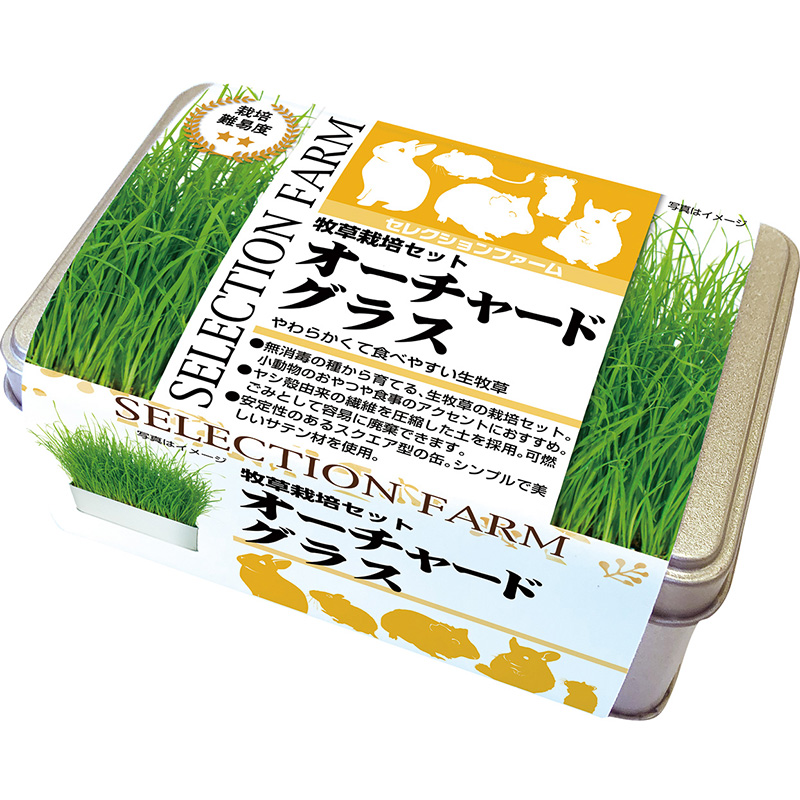 生牧草＊新鮮オーツヘイ 吊れる