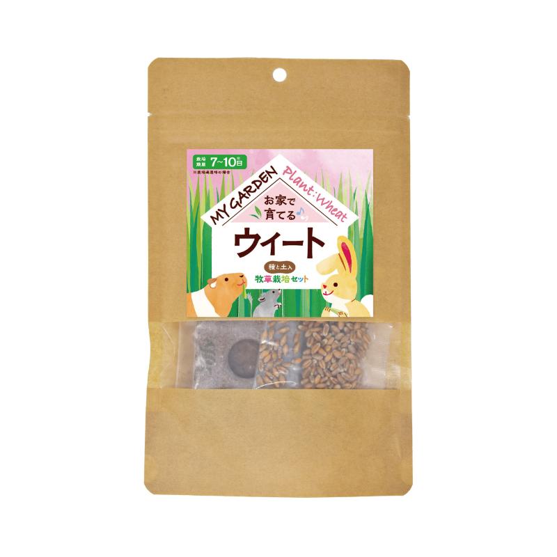 ［イースター］マイガーデン 牧草栽培セット ウィート