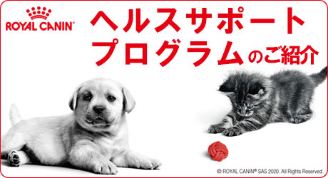 ヘルスサポートプログラム