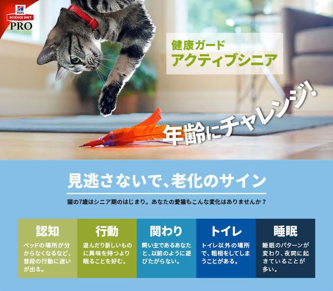 日本ヒルズ サイエンス ダイエットプロ 猫用 健康ガード アクティブシニア 7歳からずっと 300g 通販サイト掲載販売不可 専門店商材 ペット用品の仕入は Petポチッと で