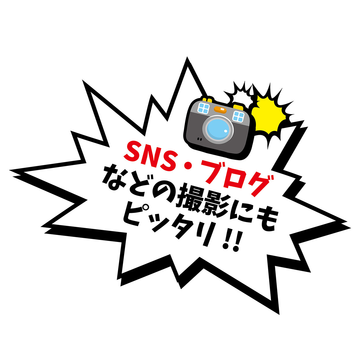 ペティオ ドラゴンボール なりきりウェア 亀仙流道着 Xs ペット用品の仕入は Petポチッと で ペティオ ドラゴンボール なりきりウェア 亀仙流道着 Xs ペット用品の仕入は Petポチッと で