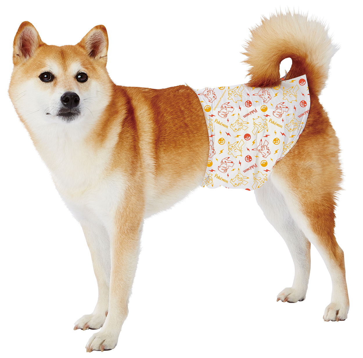 ペティオ ポケットモンスター エチケットパンツ 男の子用 L 16枚 ペット用品の仕入は Petポチッと で