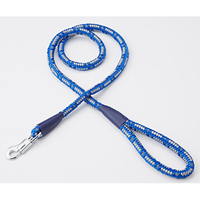 ［ペティオ］NEW ネオンリード 12mm ブルー