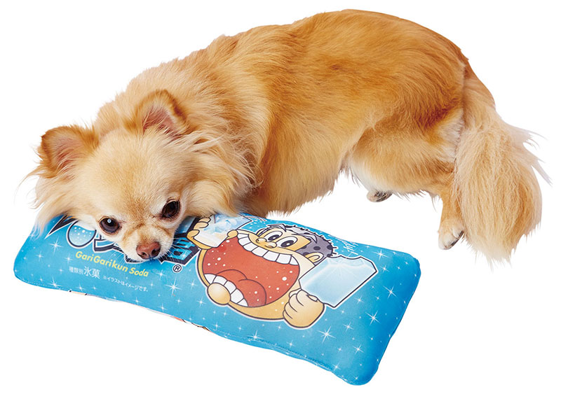 ペティオ 犬猫用 ガリガリ君 あごまくら ペット用品の仕入は Petポチッと で ペティオ 犬猫用 ガリガリ君 あごまくら ペット用品の仕入は Petポチッと で