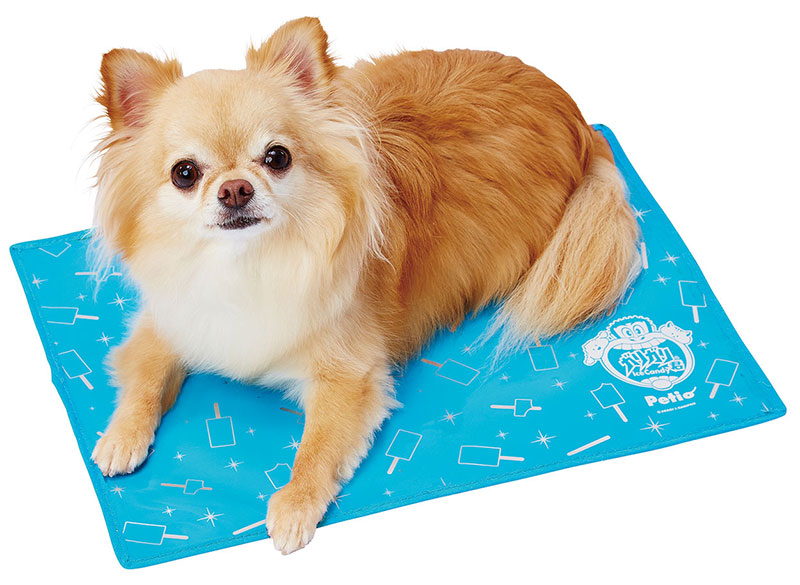 ペティオ 犬猫用マット ガリガリ君 アルミジェルマット M 21年新製品 オススメ商品 ペット用品の仕入は Petポチッと で