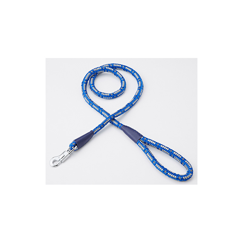 [ペティオ] NEW ネオンリード 10mm ブルー