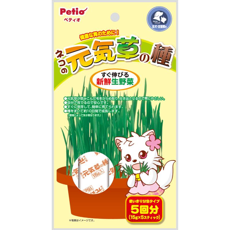［ペティオ］ネコの元気草の種15g×5包入