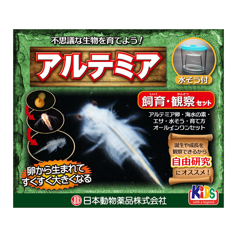 ニチドウ アルテミア飼育観察セット ペットフード ペット商品の卸売 仕入はpetポチッと ラブリー ペット商事