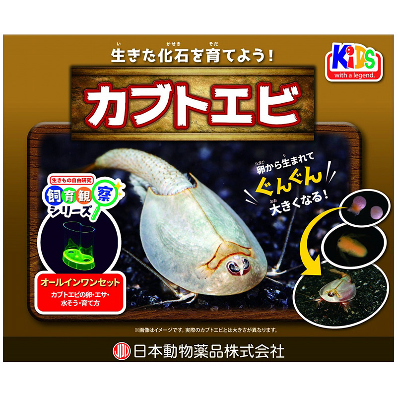 [ニチドウ]飼育観察セット カブトエビ