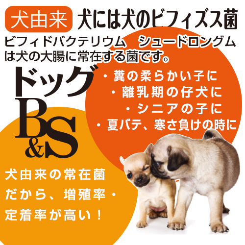 トーラス ドッグb S お徳用 1g 60包の卸売り ペット用品の仕入は Petポチッと で トーラス ドッグb S お徳用 1g 60包の卸売り ペット用品の仕入は Petポチッと で
