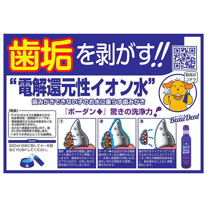 お中元 送料無料 2本セット トーラス ボーダン240ml 犬猫用歯磨きウォーター discoversvg.com