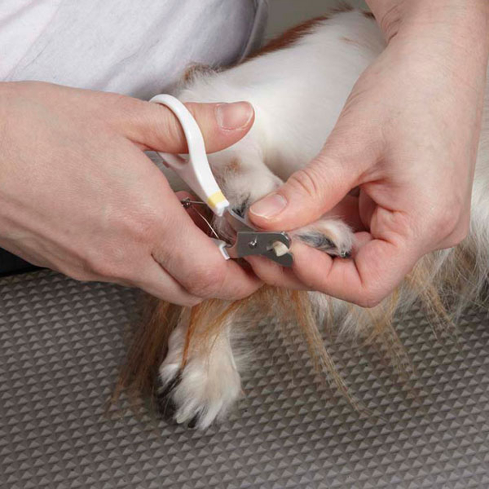 ドギーマンハヤシ Nhs 犬用カーブ爪切り ミニ ペット用品の仕入は Petポチッと で ドギーマンハヤシ Nhs 犬用カーブ爪切り ミニ ペット用品の仕入は Petポチッと で