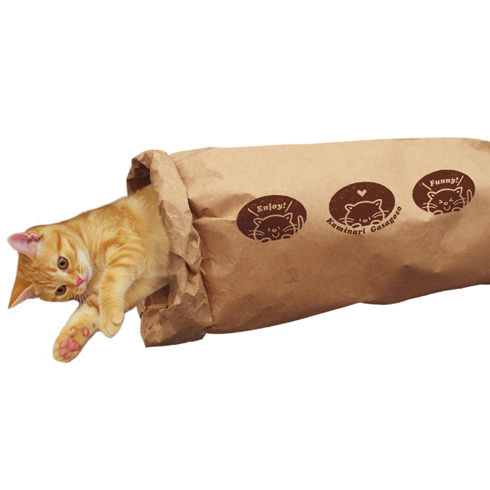 ドギーマンハヤシ じゃれ猫 紙鳴りガサゴソ ペット用品の仕入は Petポチッと で