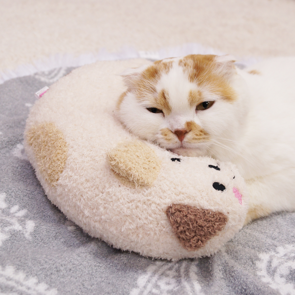 ドギーマンハヤシ 用品事業部] あごのせ猫枕 みけニャンの卸売 