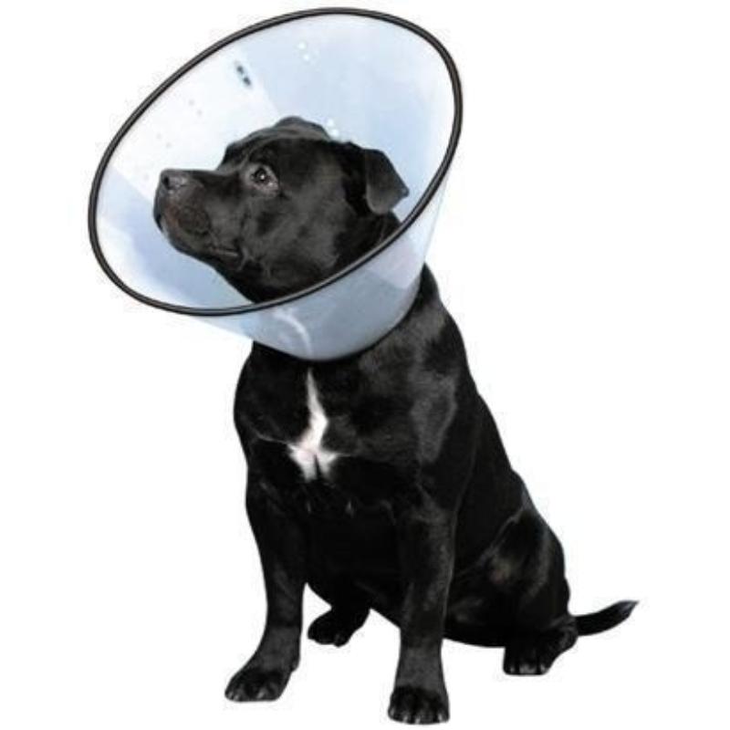 ［ファンタジーワールド］VETカラー S クリアー