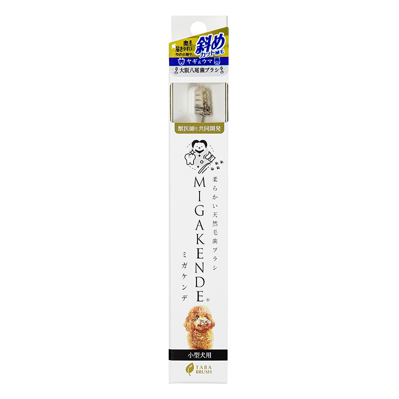 ［mt designs］柔らかい天然毛歯ブラシ MIGAKENDE（ミガケンデ）斜めカット植毛
