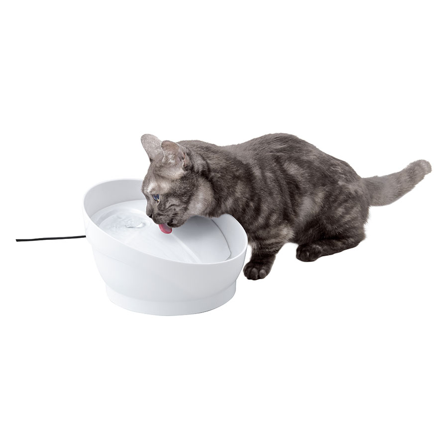 ジェックス ピュアクリスタル コパン猫用 ホワイト ペット用品の仕入は Petポチッと で ジェックス ピュアクリスタル コパン猫用 ホワイト ペット用品の仕入は Petポチッと で