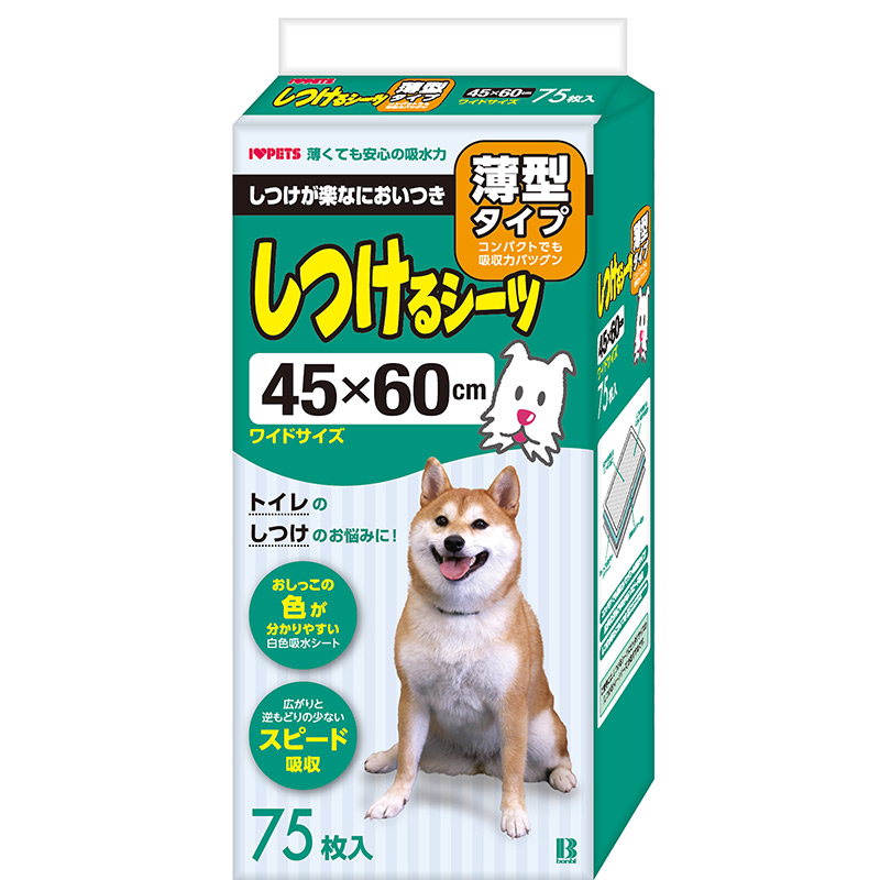 SALE／93%OFF】 ボンビアルコン ウィークリーシーツ 12枚入 qdtek.vn