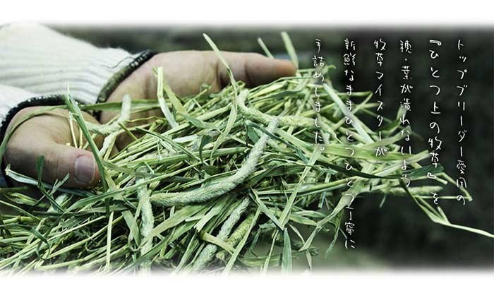 カナダ産 プレミアムチモシー1番刈り - BUNNY GARDEN