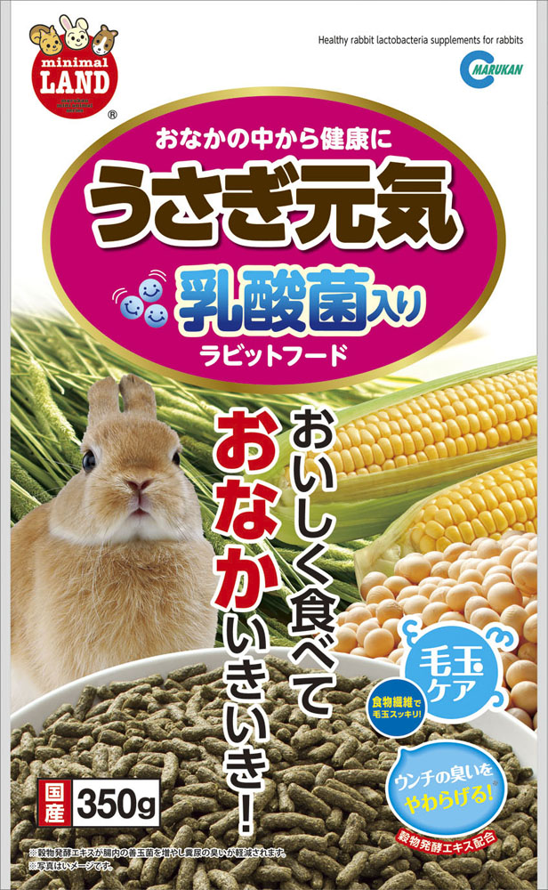 非行 ご注意 悪化させる うさぎ 乳酸菌 必要性 Sun Rise P Jp 非行 ご注意 悪化させる うさぎ 乳酸菌 必要性 Sun Rise P Jp