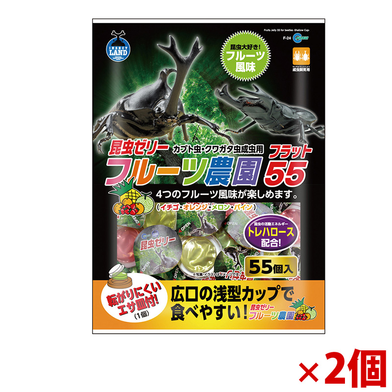 【アウトレット】[マルカン]フルーツ農園 フラット 55 55個入×2個