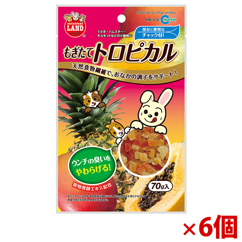 【アウトレット】［マルカン］もぎたてトロピカル 70g×6個