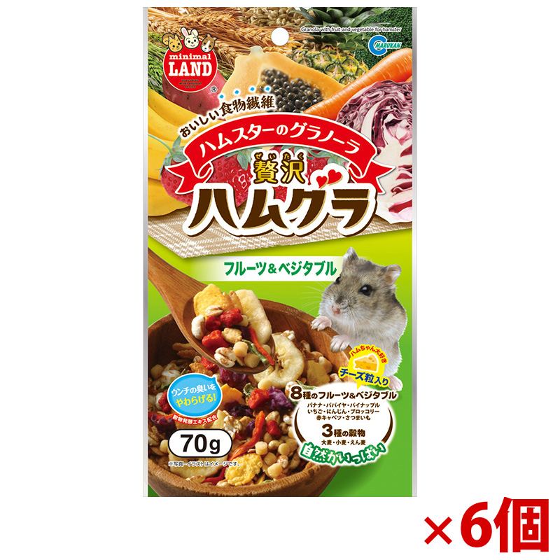【アウトレット】［マルカン］贅沢ハムグラ フルーツ＆ベジタブル 70g×6個 ※賞味期限：2027年4月1日まで